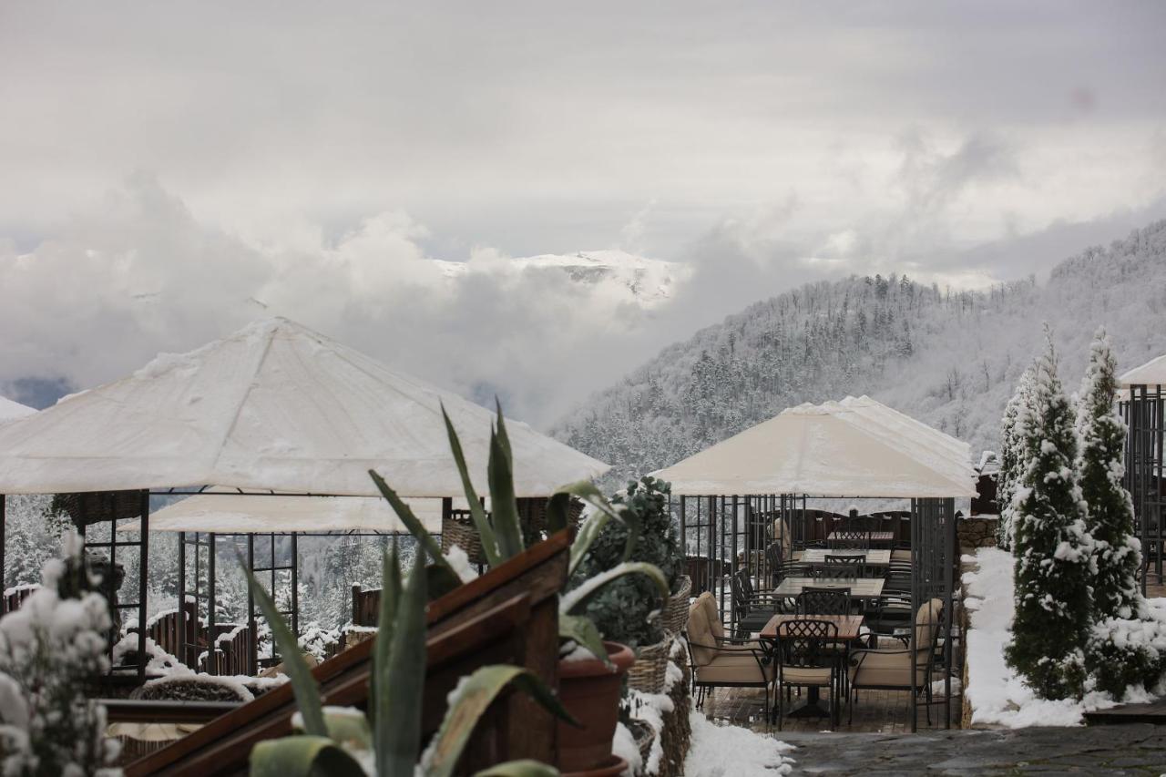 דיליג'אן Alpine Castle Hotel מראה חיצוני תמונה